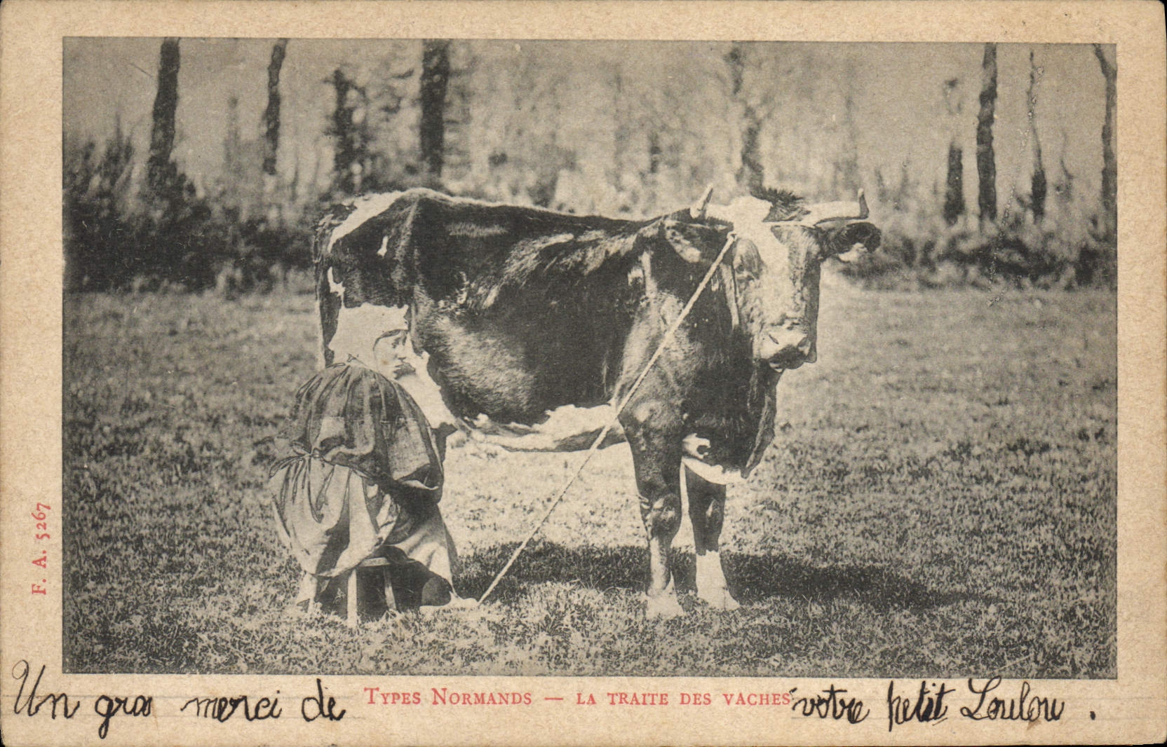 CPA Types Normands La traite des vaches 
