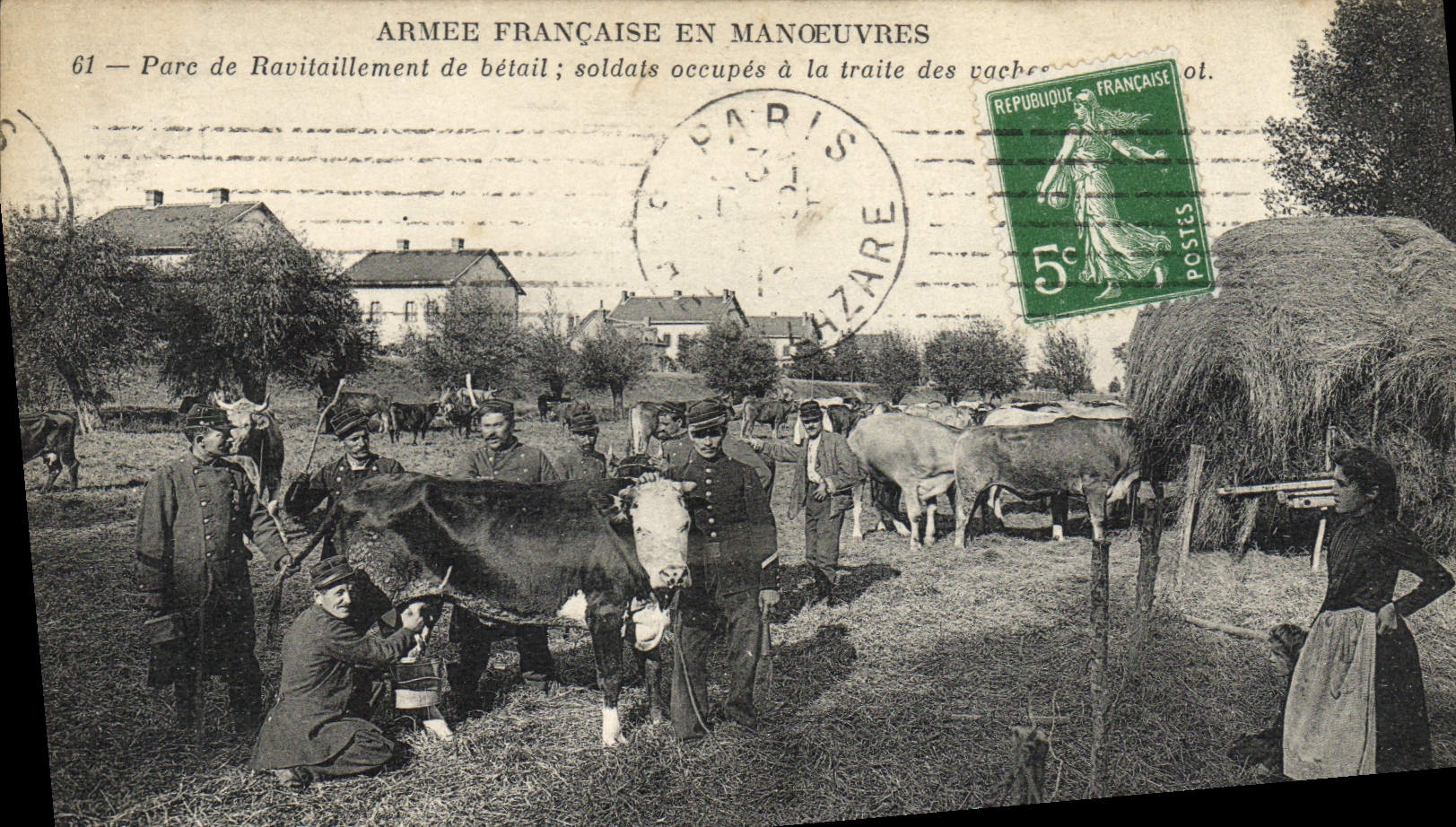 CPA Armee Francaise en manoeuvres Parc de ravitaillement de betail Soldats occupes a la traite Vaches TOP