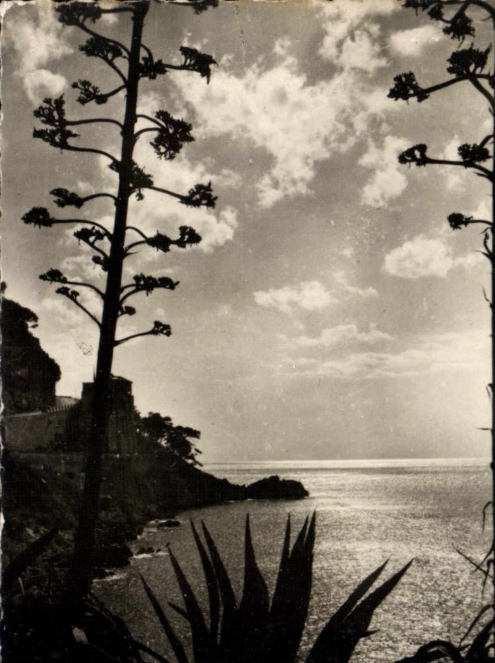 MODERN CARD the Mediterranean Twilight