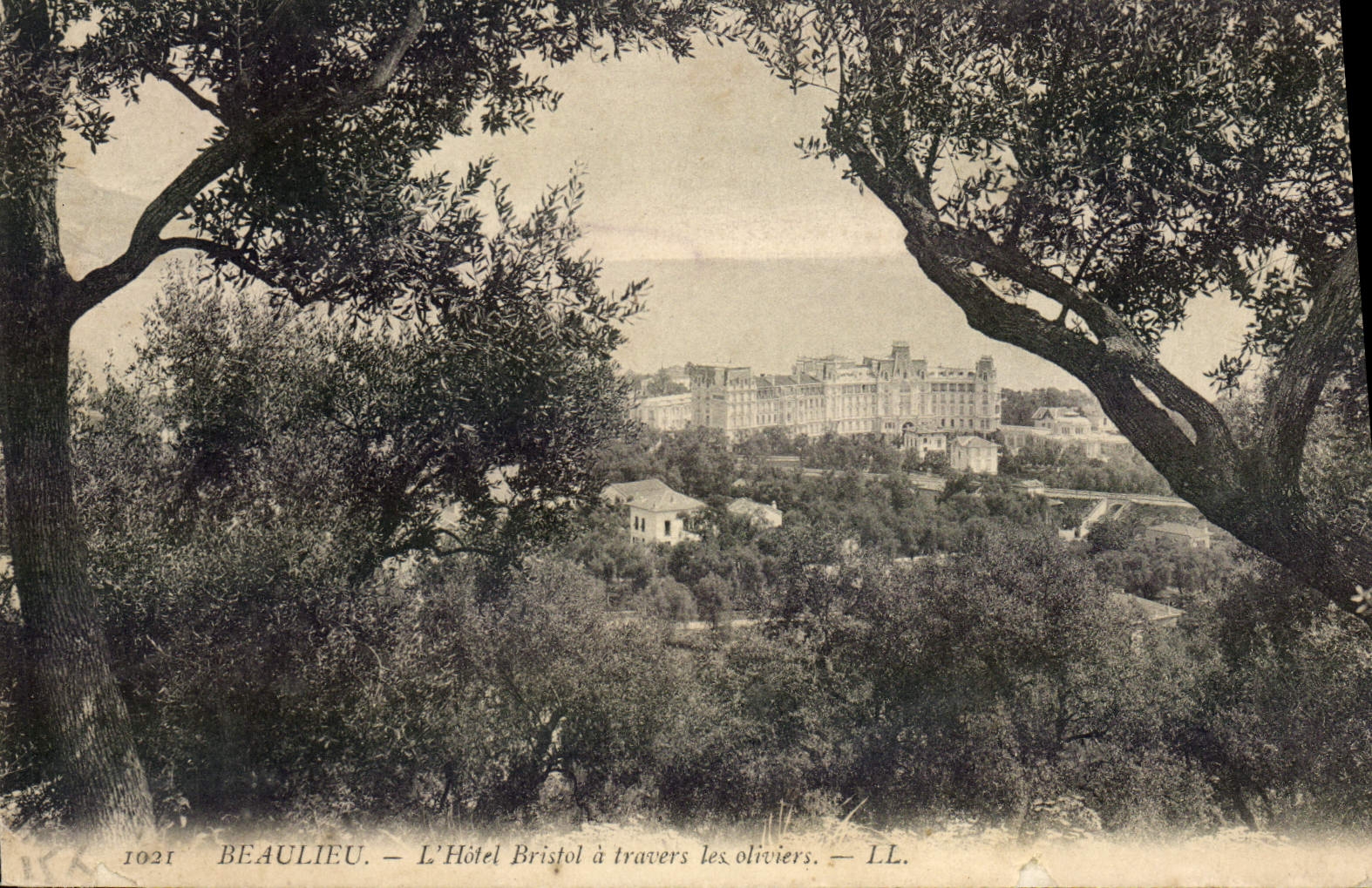 VINTAGE POSTCARD Beaulieu the Hotel Bristol-board through the pines