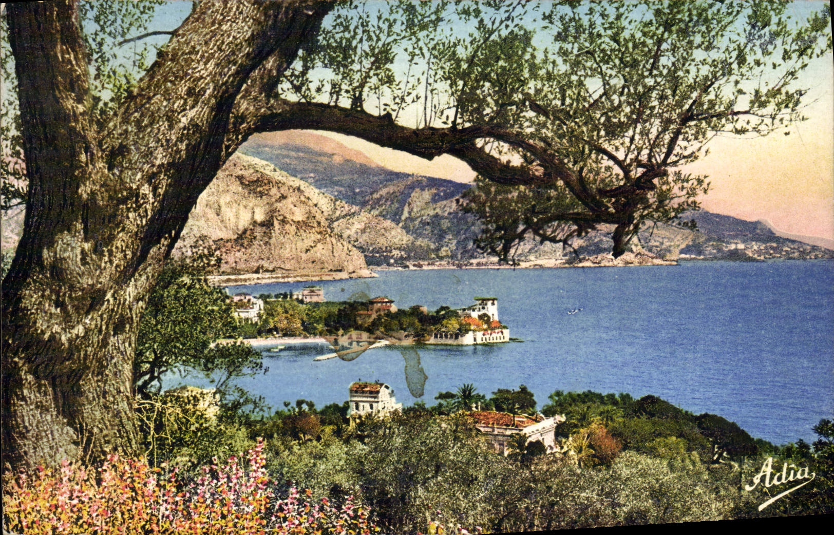 CPA Beaulieu Sur Mer La Pointe Fourmie