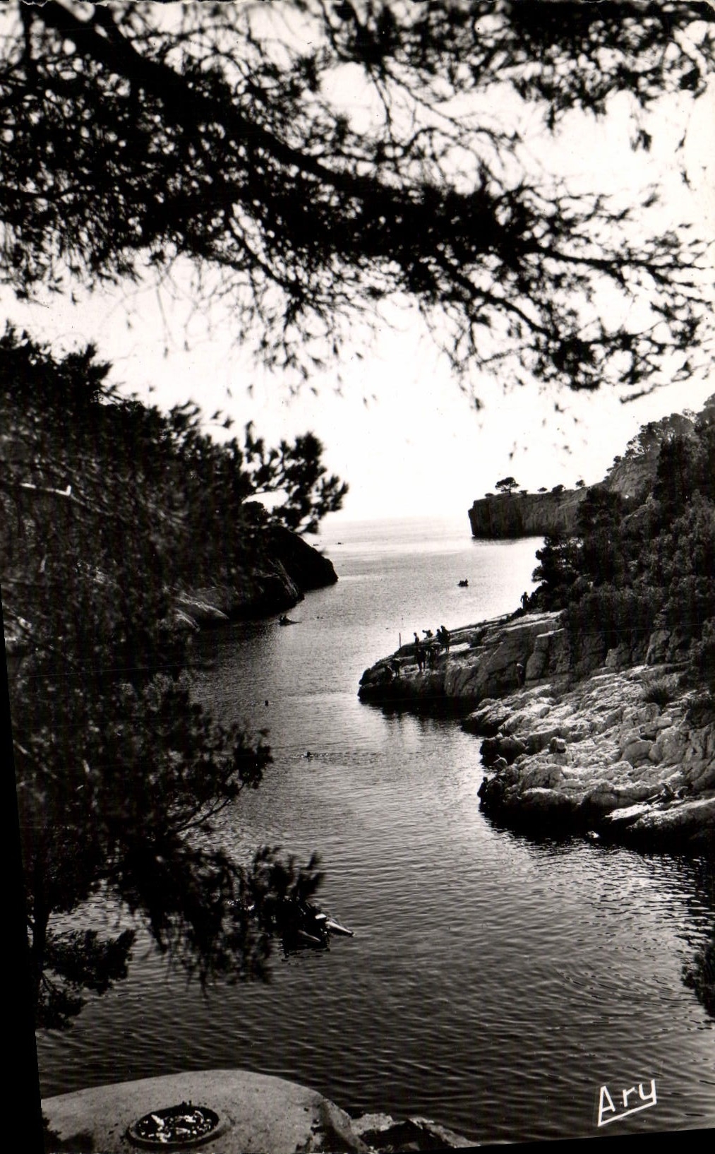 CPM Cassis Calanque de Port Pin