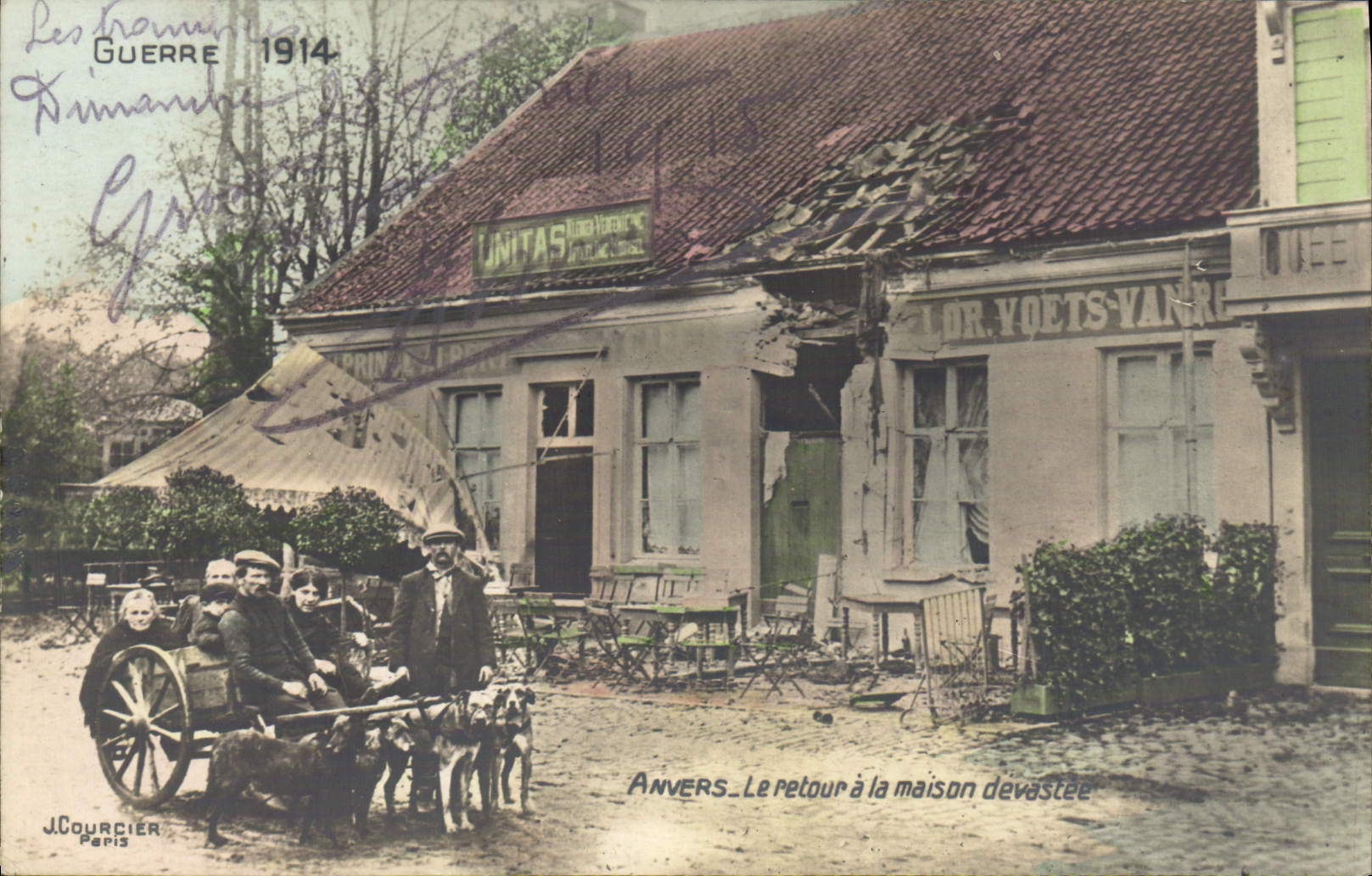 El perro Amberes de la POSTAL de la VENDIMIA persigue la vuelta del devastee Militaria de la casa