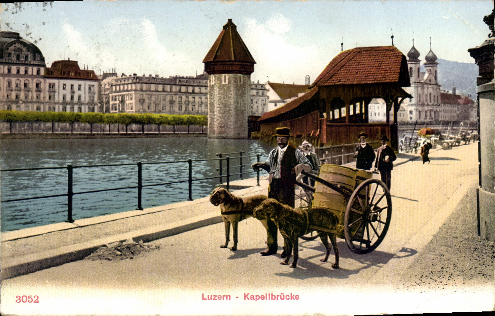 VINTAGE POSTCARD Dog Dogs Luzern Kapellbrucke Lucerne TOP