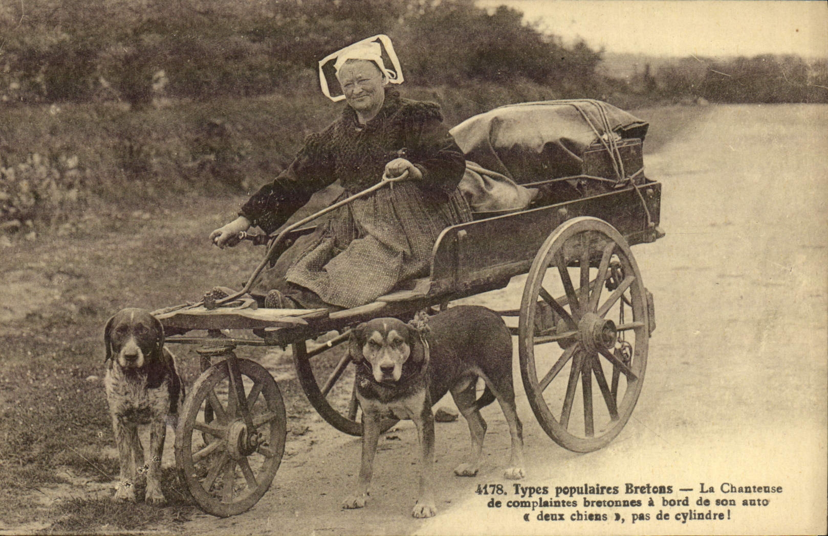 VINTAGE POSTCARD Dog Breton popular Standard Dogs the singer of Breton laments TOP