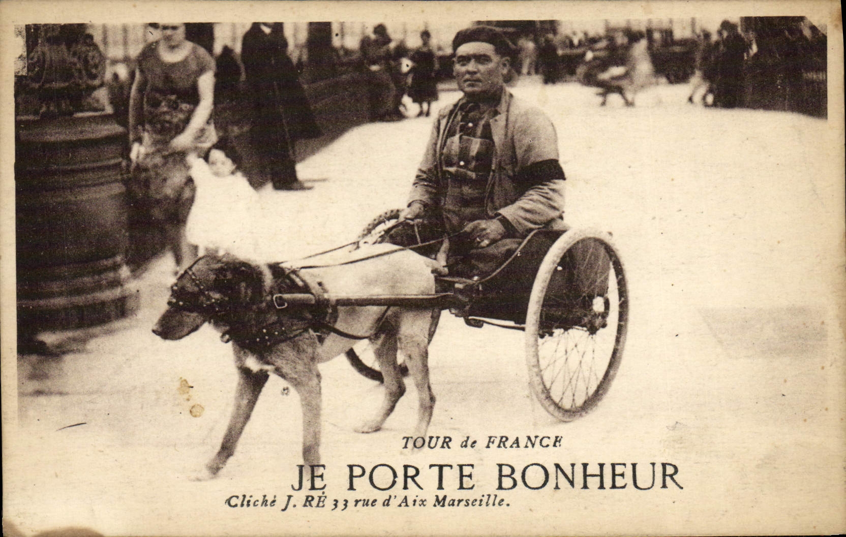 CPA Chien Chiens Tour de France Ke porte bonheur 