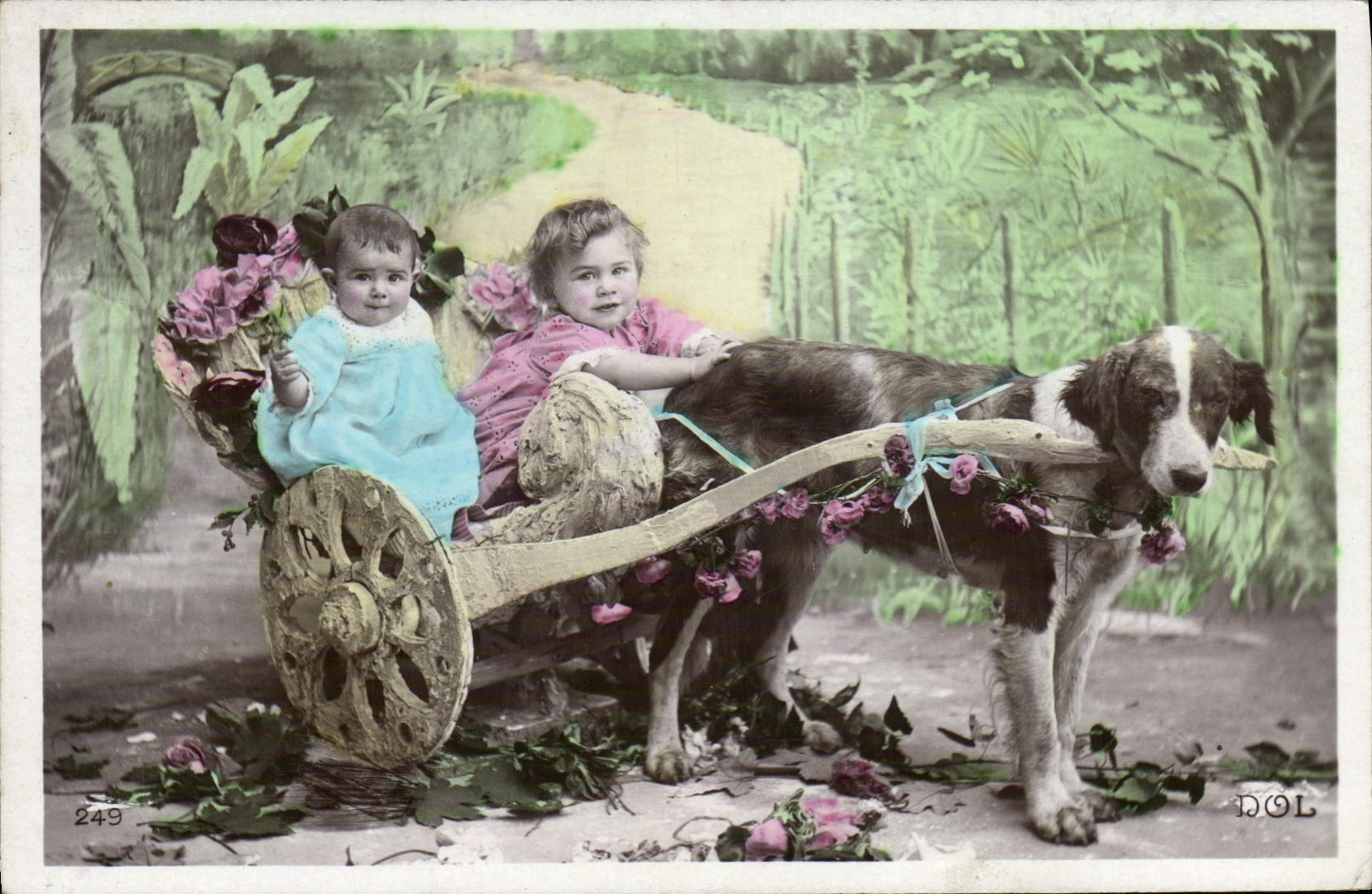 CPA Chien Chiens Enfant 