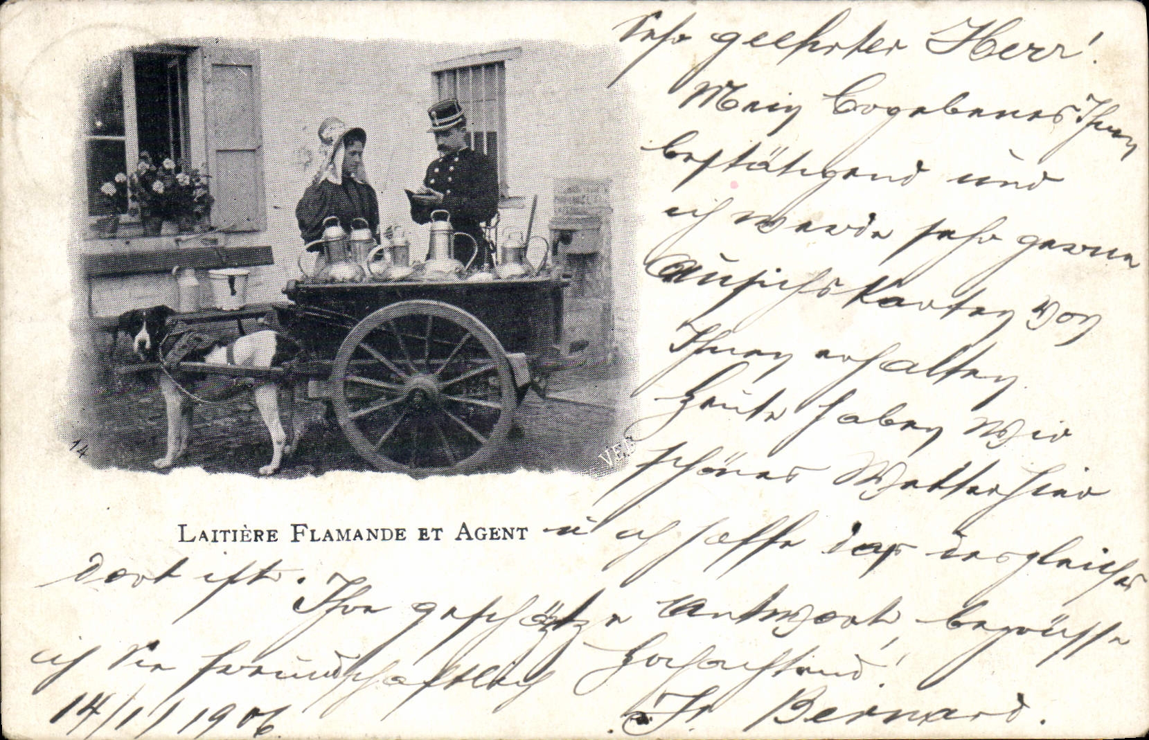 VINTAGE POSTCARD Dog Laitiere Dogs Flemish and Agent TOP Gendarme organize