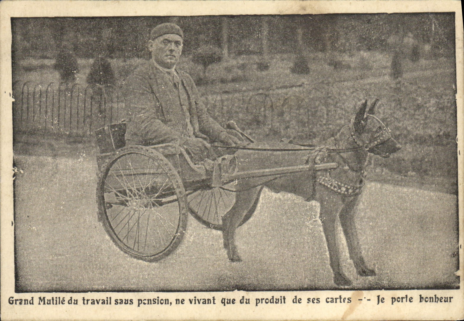 VINTAGE POSTCARD Large Chien Dogs disabled worker without pesion living only product of its charts