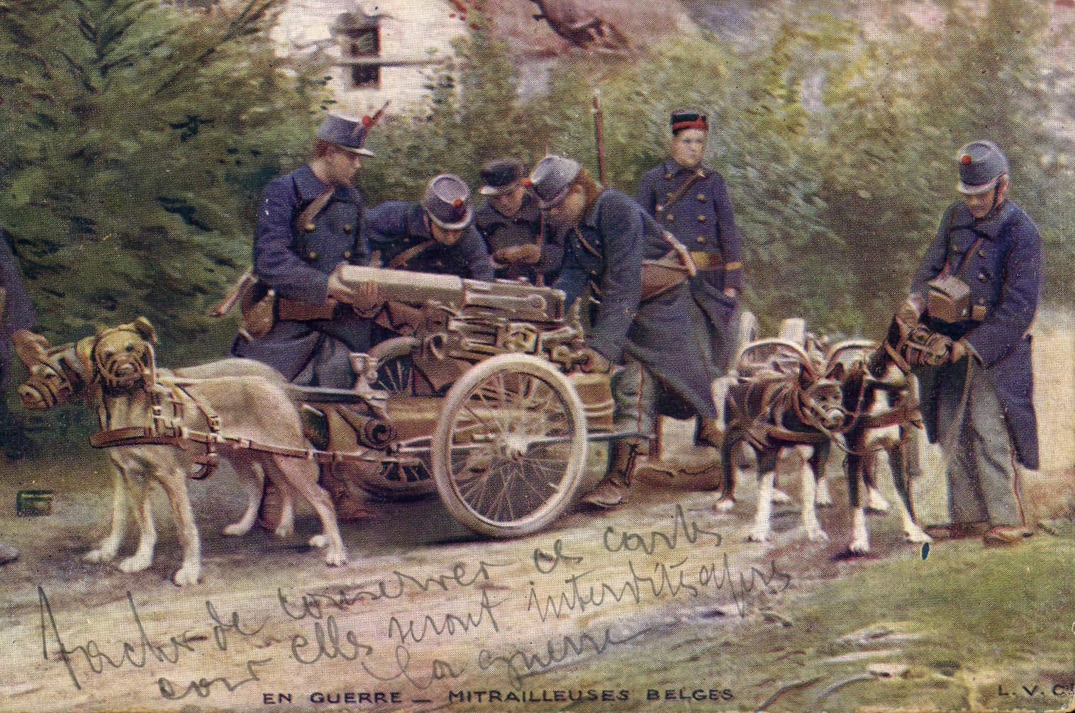 VINTAGE POSTCARD Dog Belgian Dogs Machine-guns Militaria