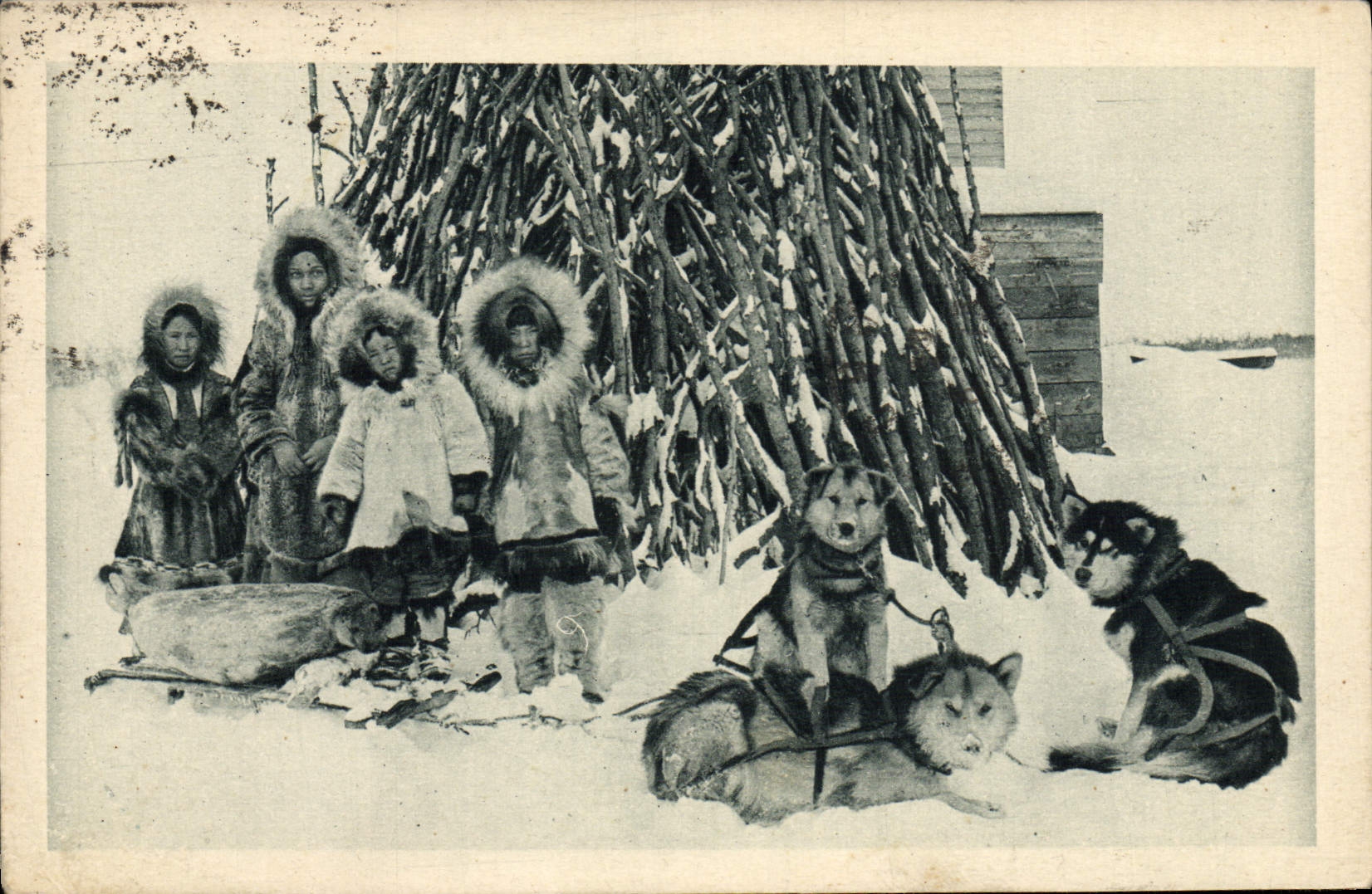 El perro de la POSTAL de la VENDIMIA persigue el refrigerador en Alaska un sello para el misionario fornido
