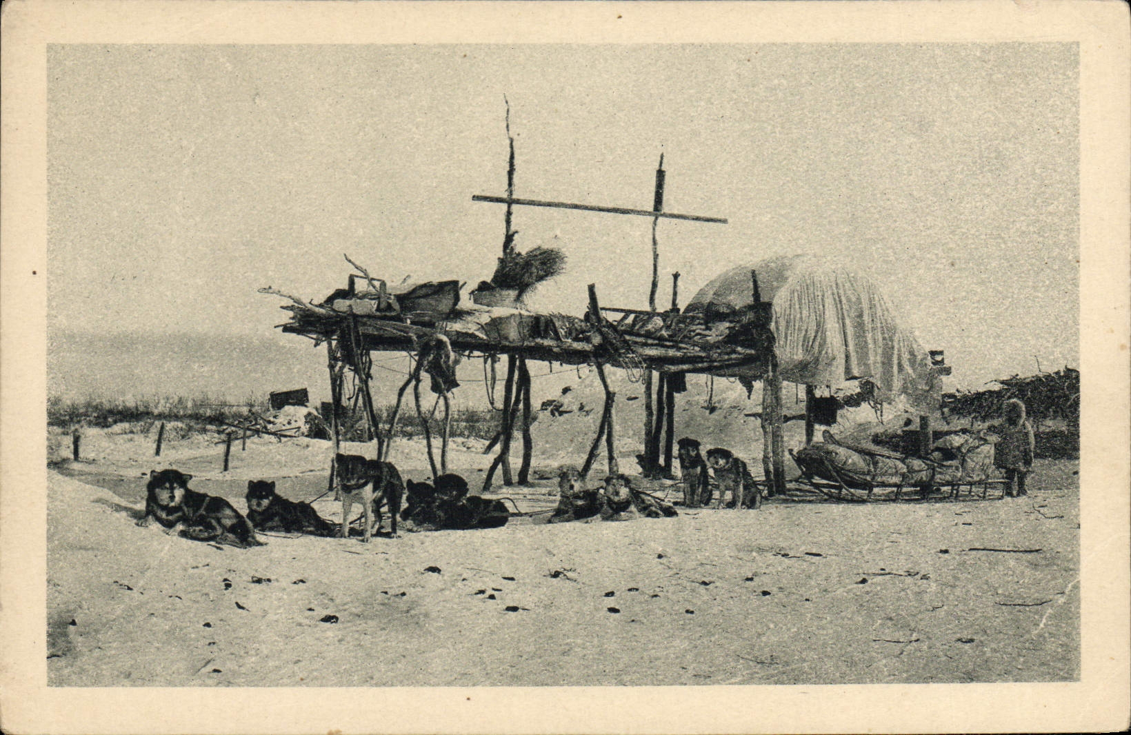 VINTAGE POSTCARD Dog Dogs the coach express train of the mission of Mary' S Alaska igloo