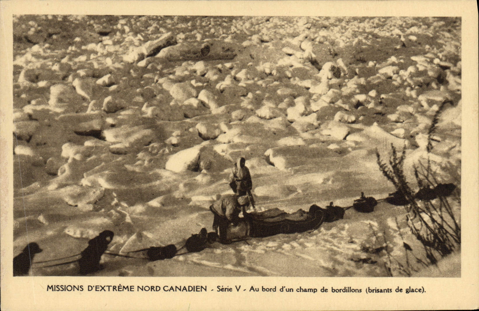 CPA Chien Chiens Mission d'extreme Nord Canadien Au bord d'un champ de Bordillons Brisants de glace 