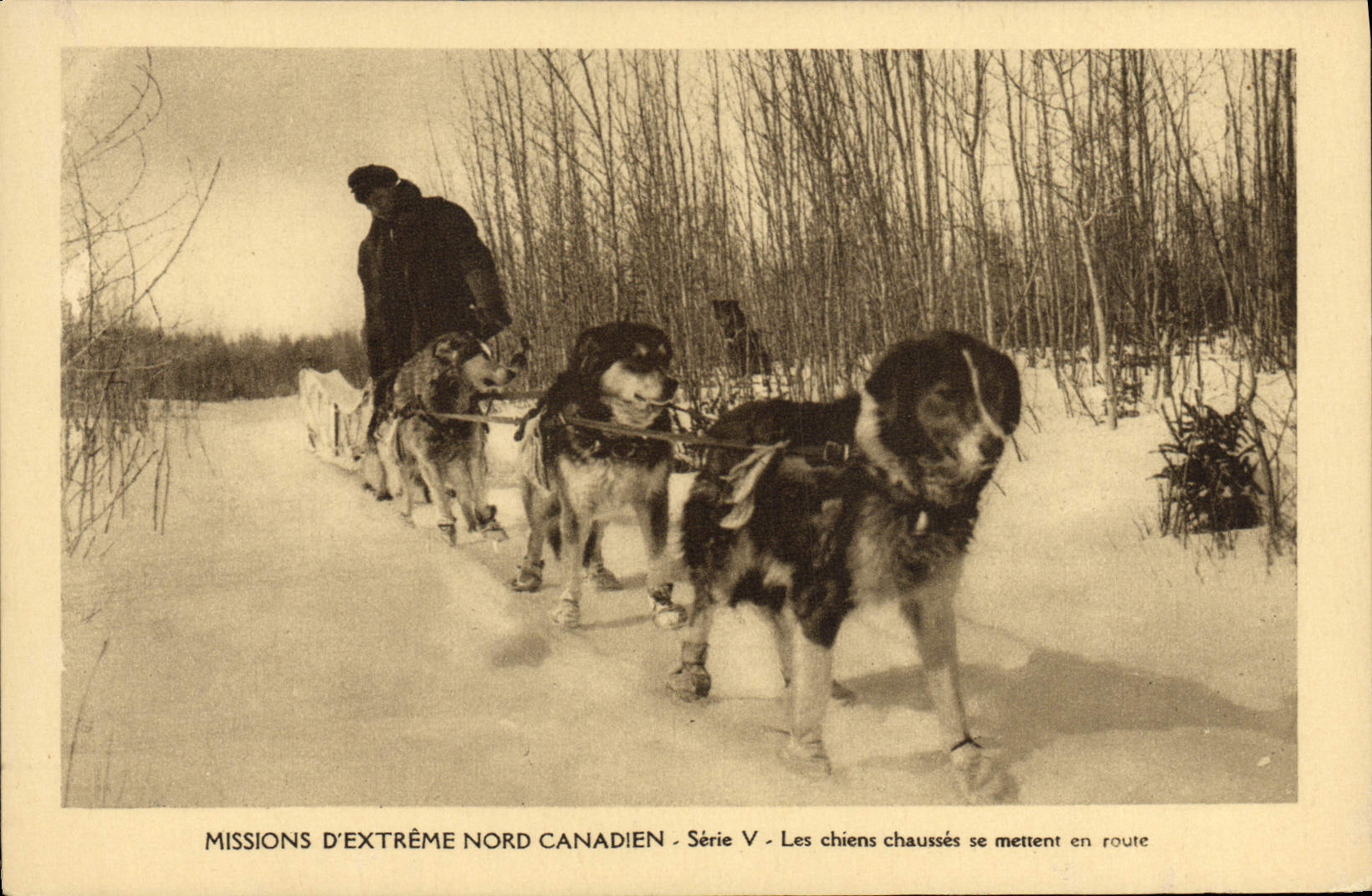 VINTAGE POSTCARD Chien Dogs Mission of extreme Canadian North the dogs fit get under way