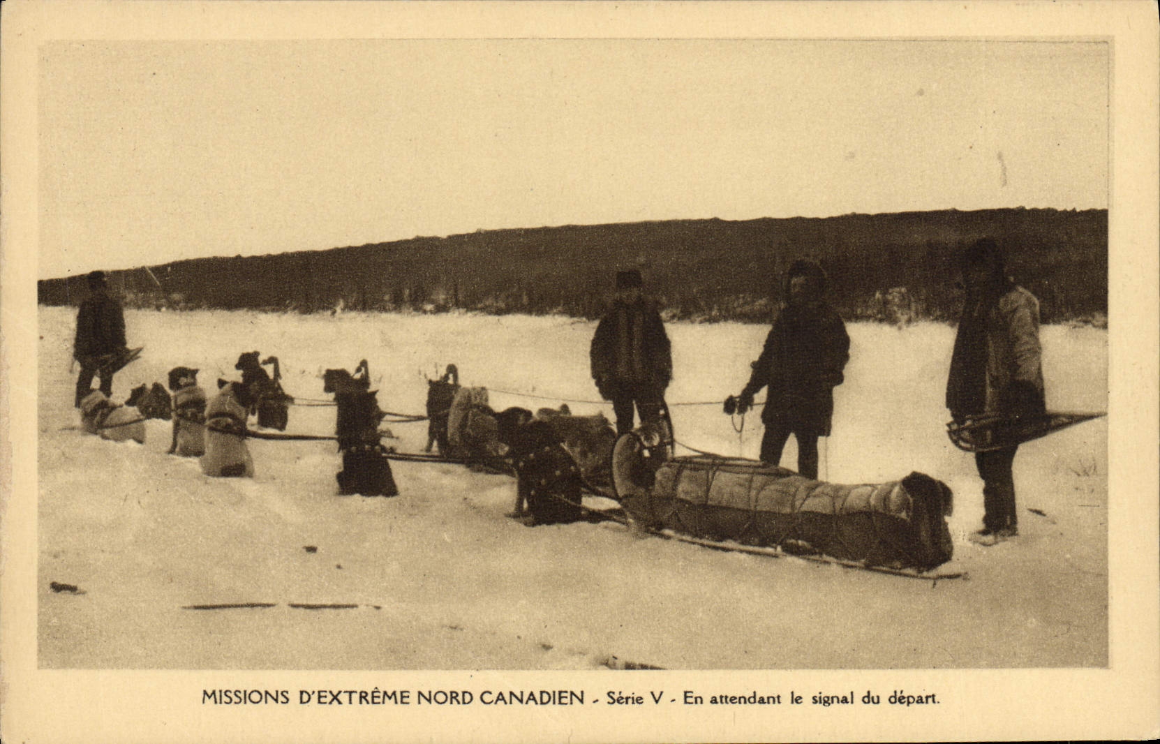 El perro de la POSTAL de la VENDIMIA persigue la misión del norte canadiense extremo mientras que espera la señal de la salida