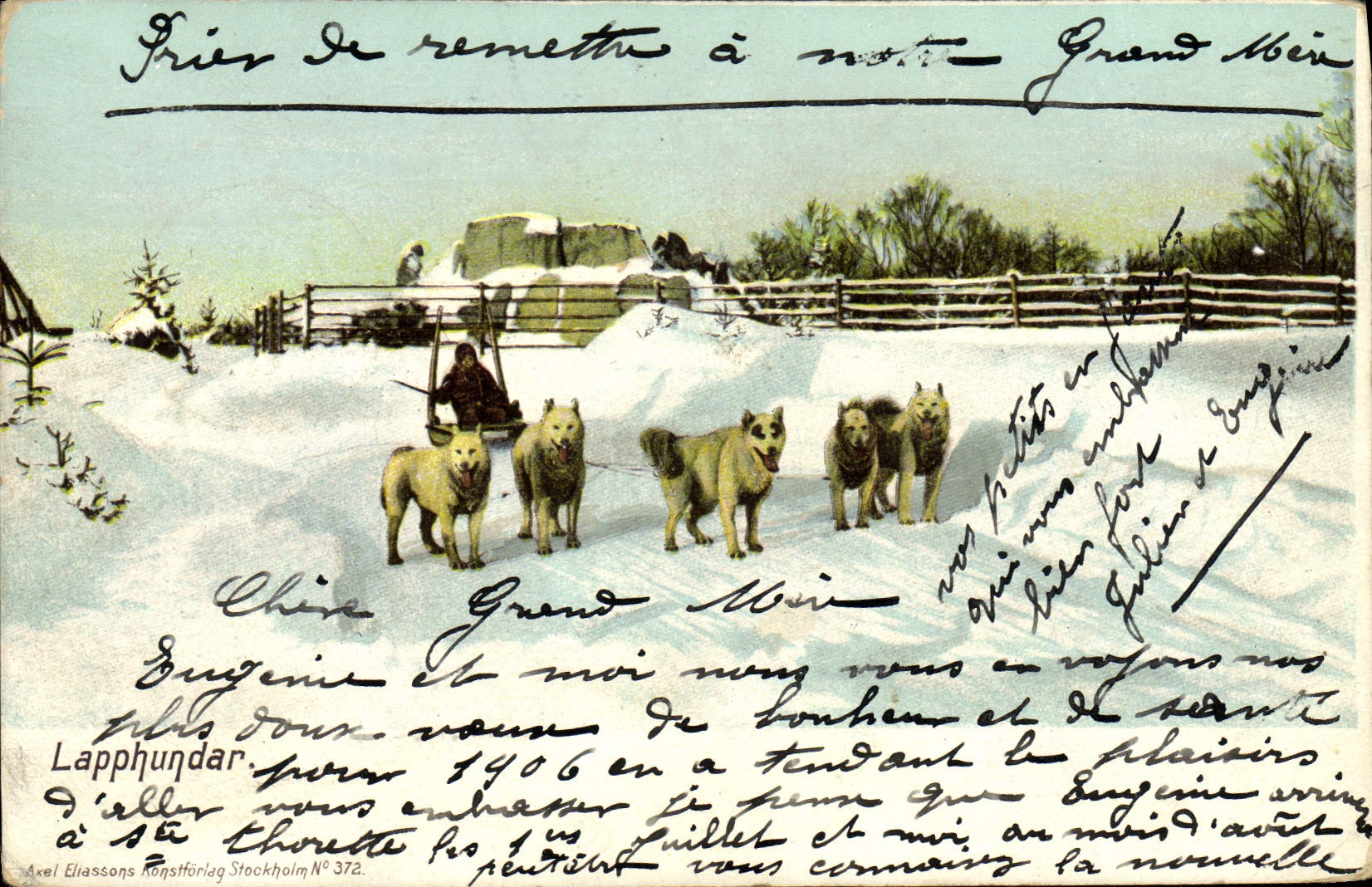 VINTAGE POSTCARD Dog Lapphundar Dogs