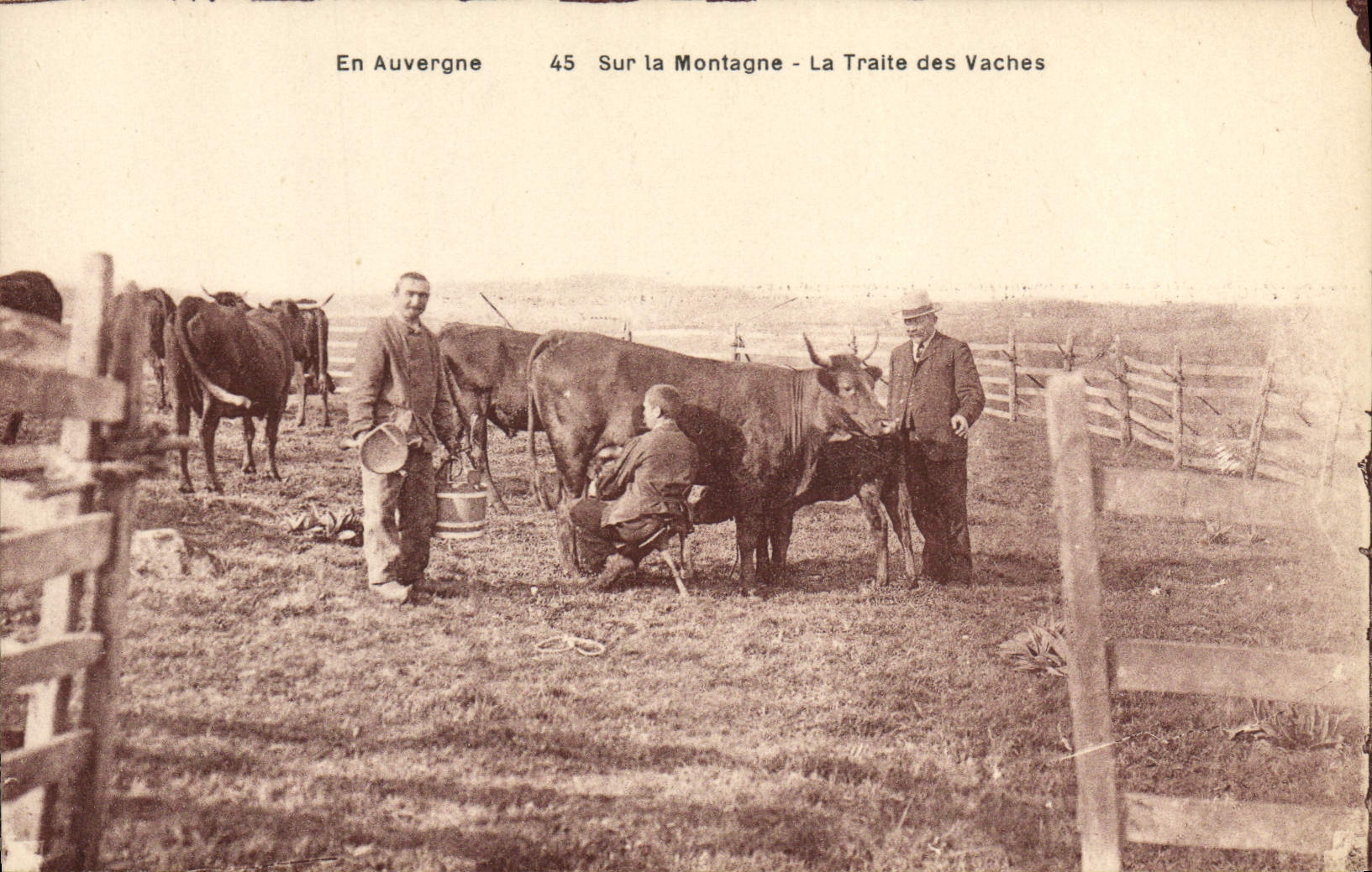 CPA Folklore Lait Auvergne La traite des vaches 