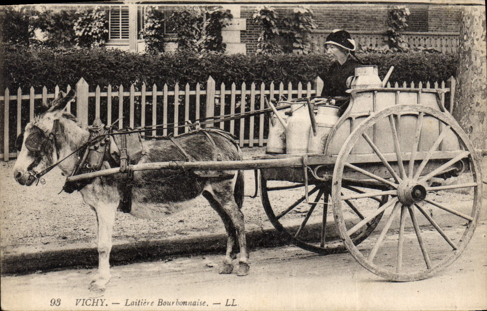 CPA Folklore Lait Vichy Laitiere Bourbonnaise Ane Mule TOP