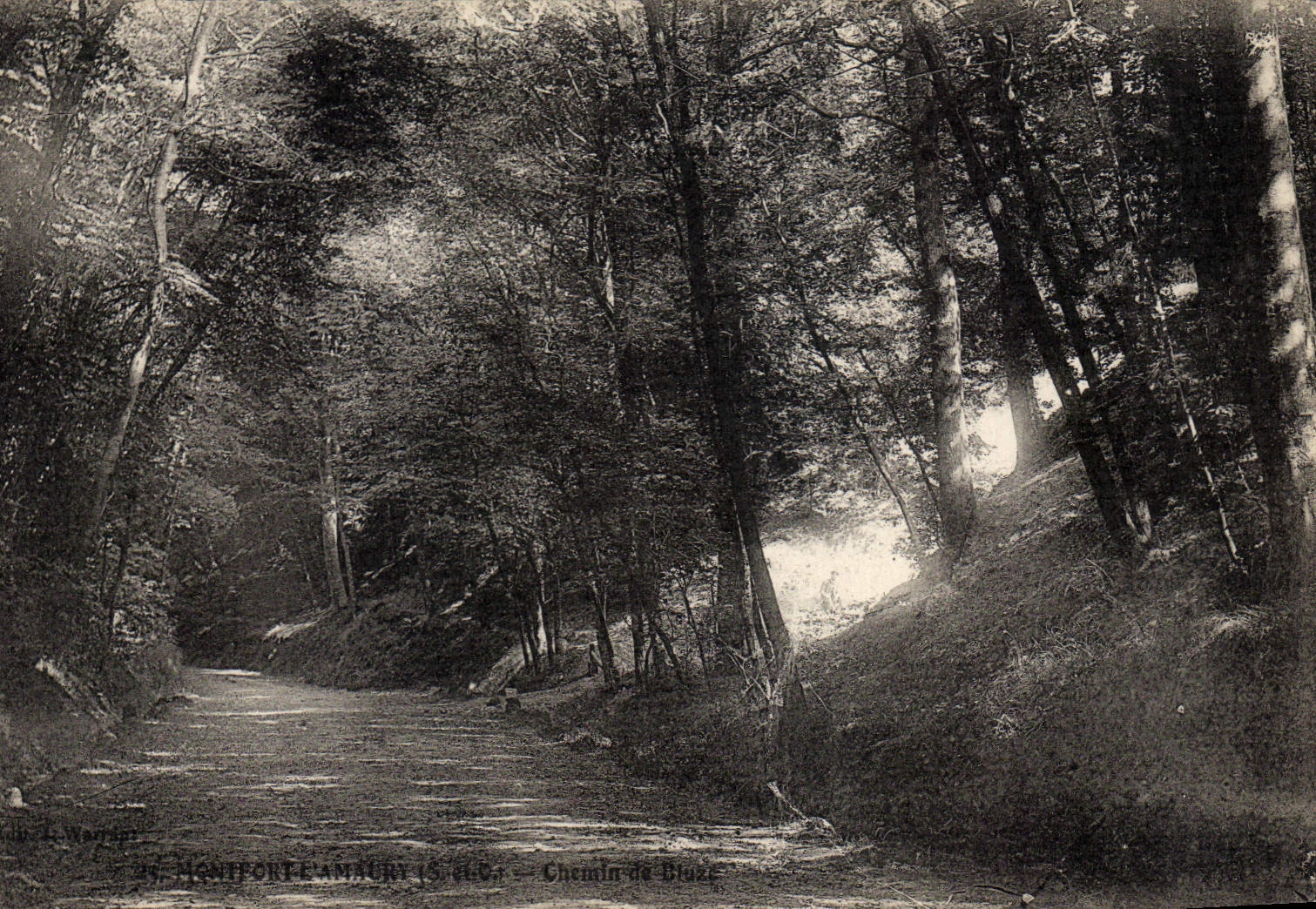 VINTAGE POSTCARD Montfort Amaury Way of Bluze