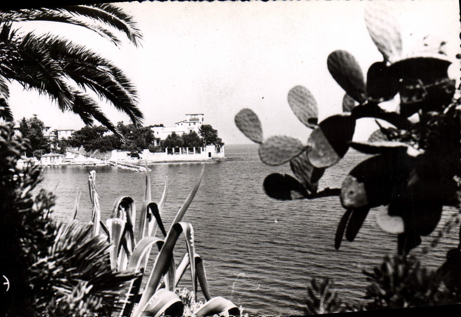 CPM Beaulieu Villa Grecque