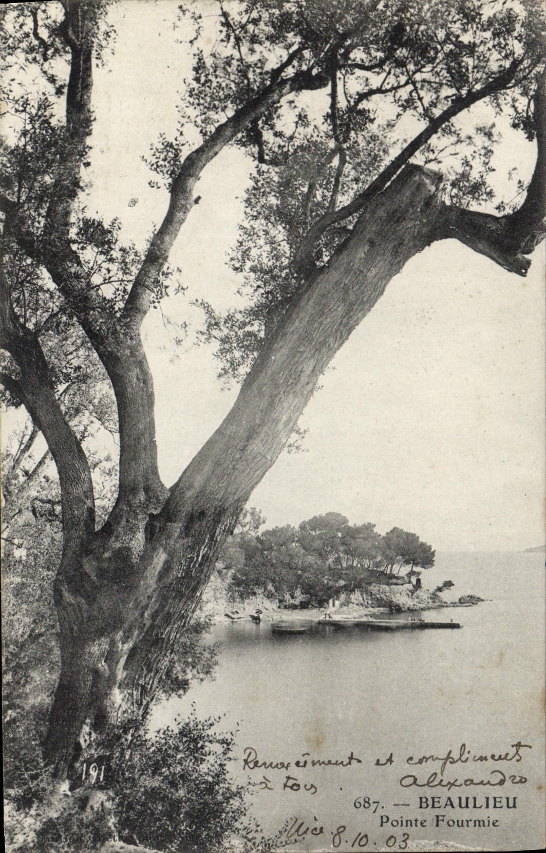 VINTAGE POSTCARD Beaulieu Points Fourmie