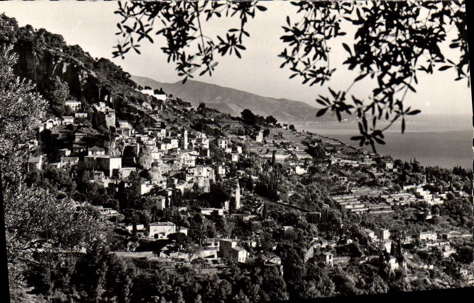 CPM Roquebrune Vue Generale Au Fond les Alpes italiennes