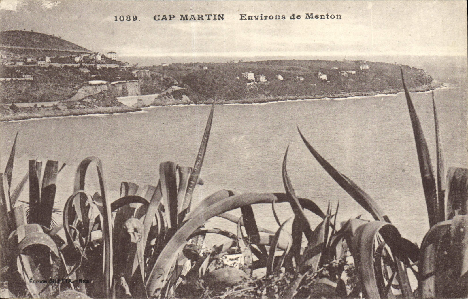 VINTAGE POSTCARD Cape Martin Surroundings of Menton