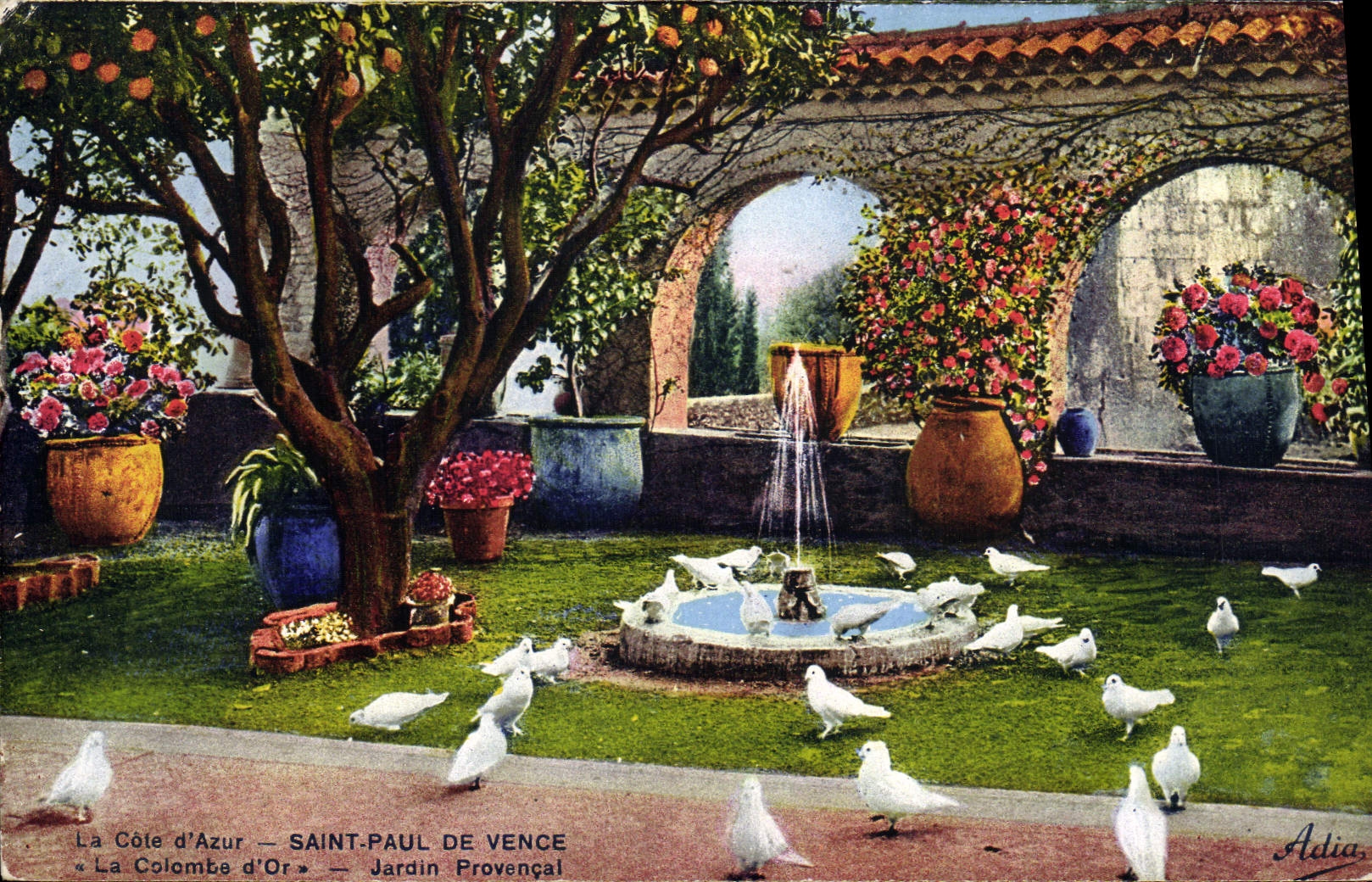 CPA Saint Paul de Vence La Colombe d'or Jardin provencal