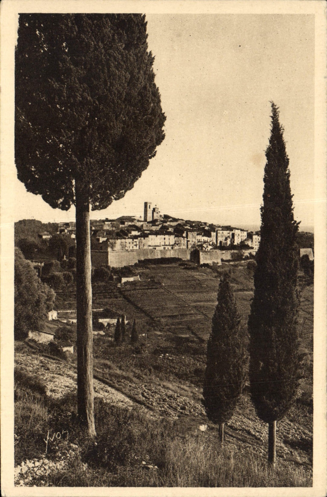 Opinión de San Pablo de la POSTAL de la VENDIMIA a través de los cipreses