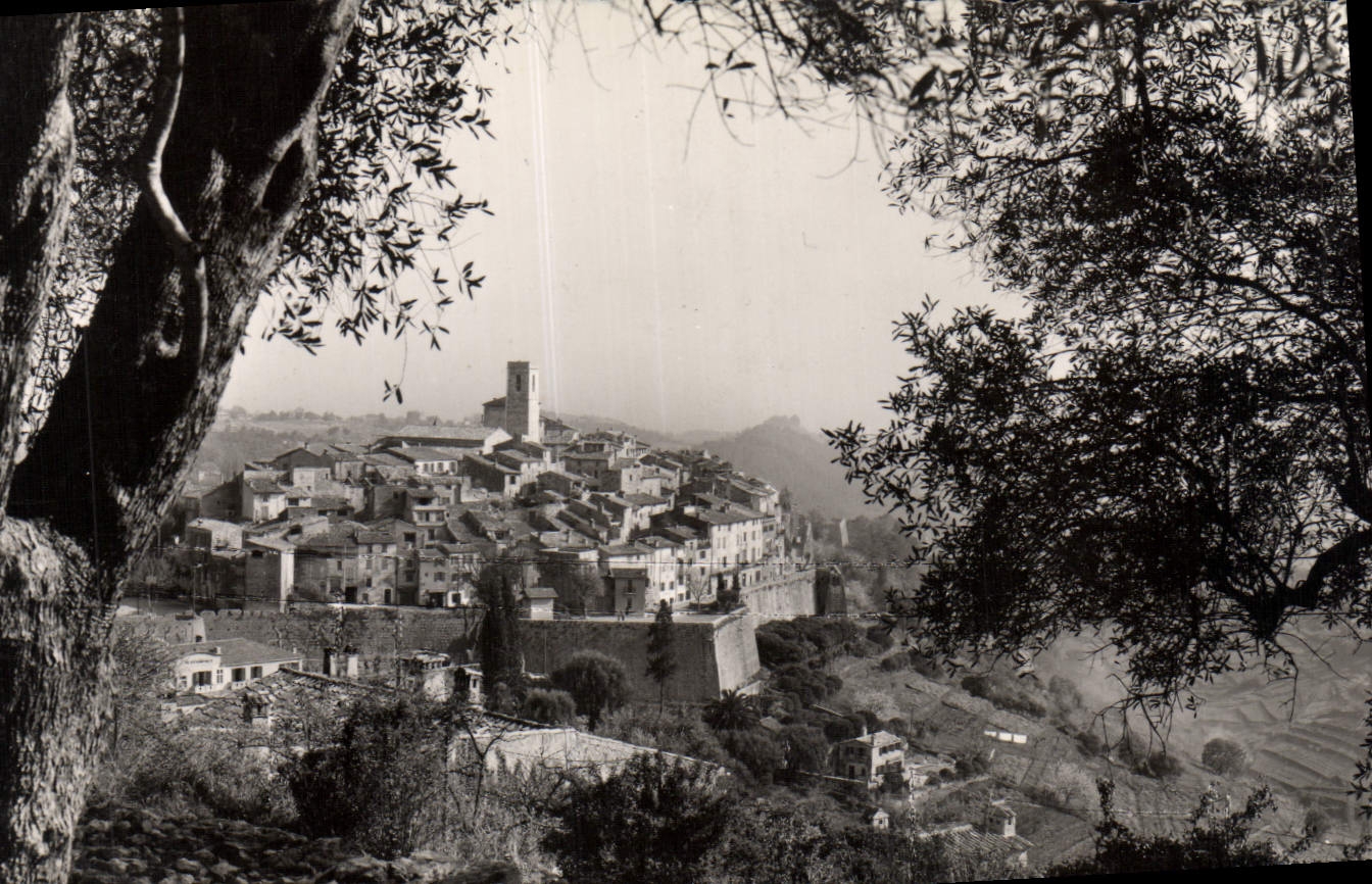 CPA Saint Paul du Vence Vue a Travers les oliviers