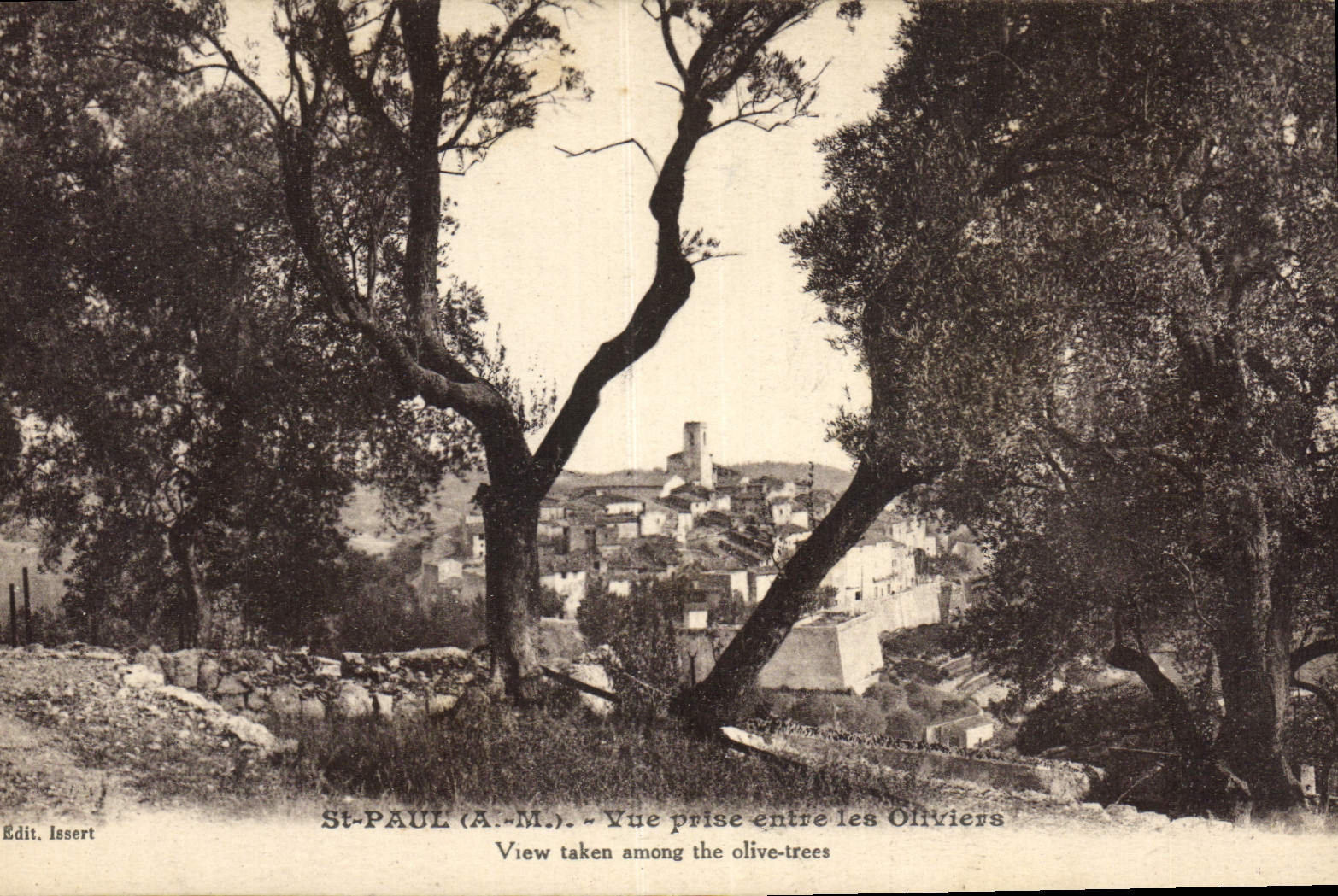 POSTAL San Pablo de la VENDIMIA vista entre los Aceituna-árboles