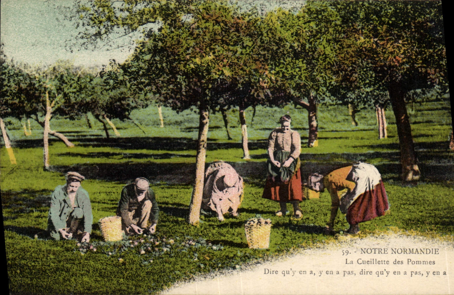 VINTAGE POSTCARD Normandy Gathering of apples