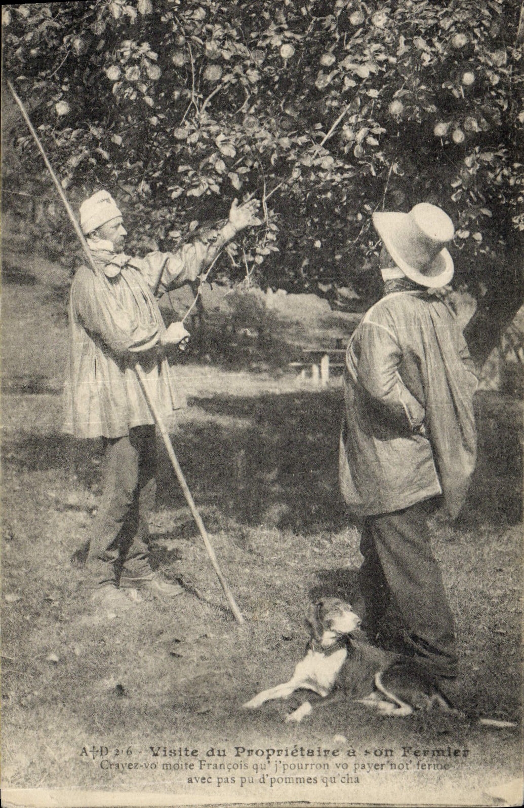 VINTAGE POSTCARD Visite of the owner has his Chien farmer