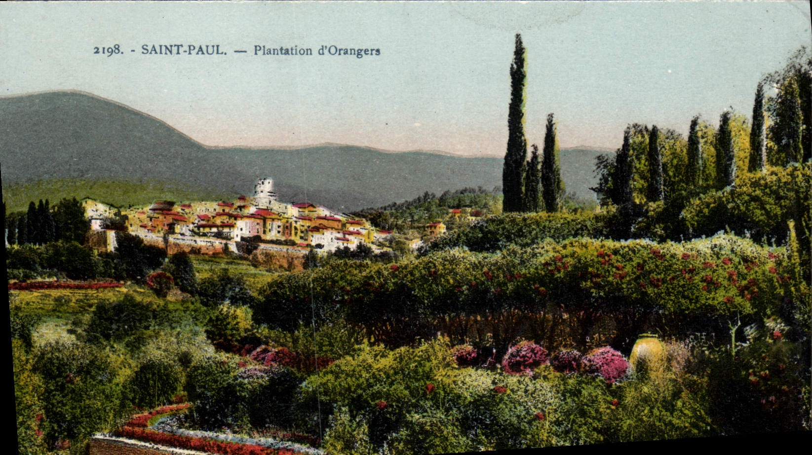 Plantación de San Pablo de la POSTAL de la VENDIMIA de árboles anaranjados