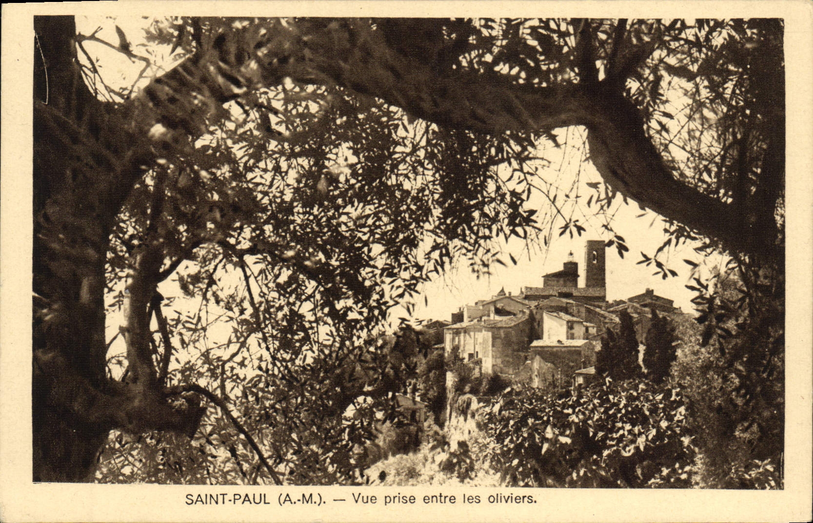 CPA Saint Paul Vue prise entre les oliviers