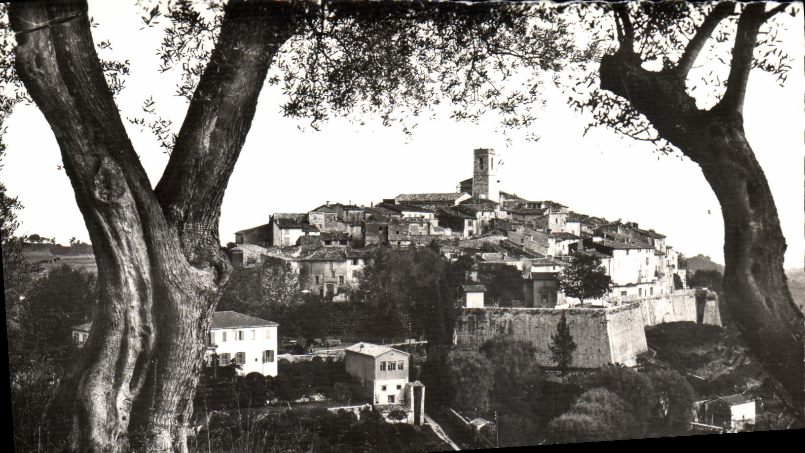 MODERN CARD Saint Paul Seen through the olive-trees