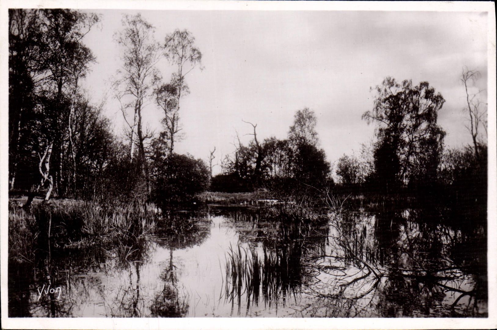 MODERN CARD Fontainebleau the drill the pond with the fairies