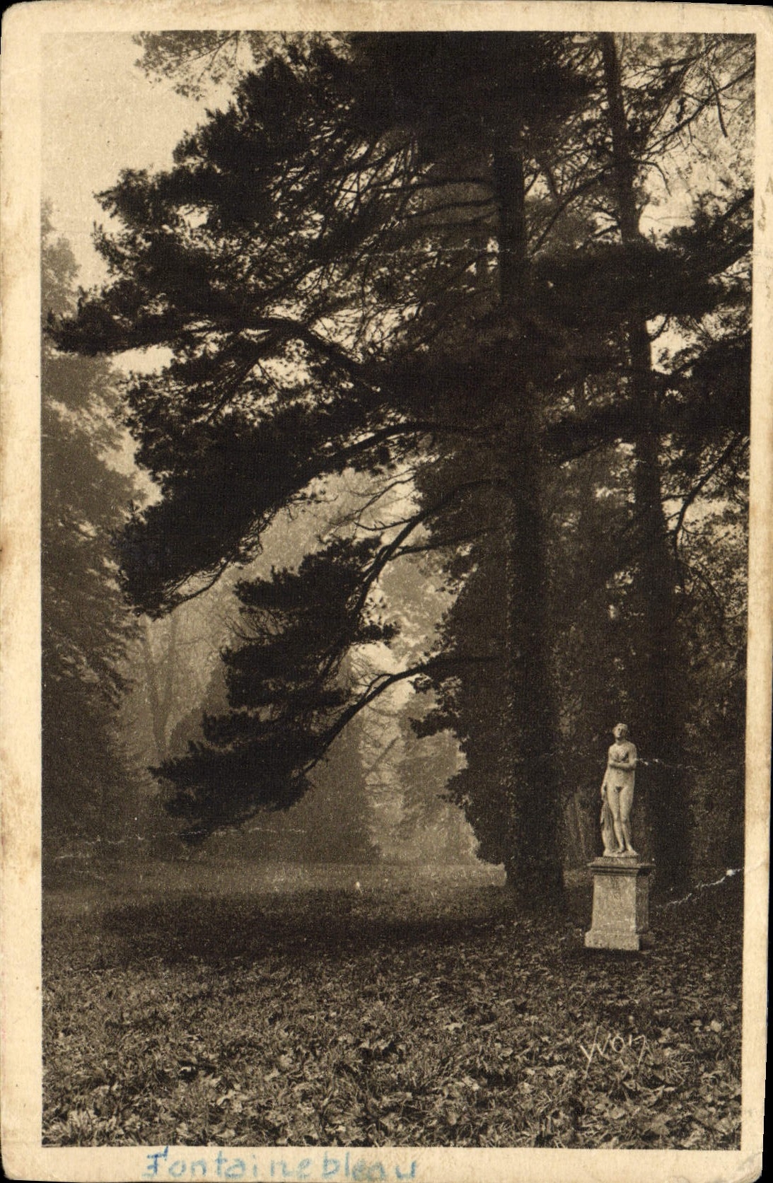 VINTAGE POSTCARD Palate De Fontainebleau the park one morning of autumn