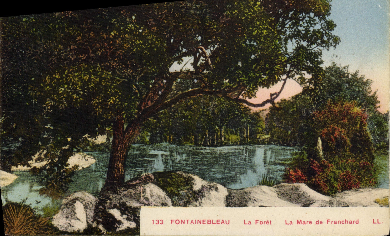 CPA Fontainebleau La Foret La Mare de Franchard