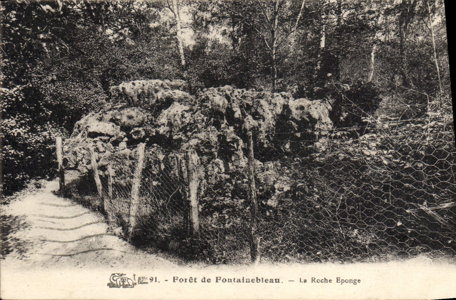 VINTAGE POSTCARD Foret De Fontainebleau the Rock Sponges