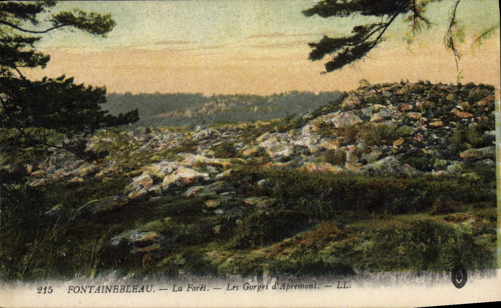 CPA Fontainebleau La Foret Les gorges d'Apremont
