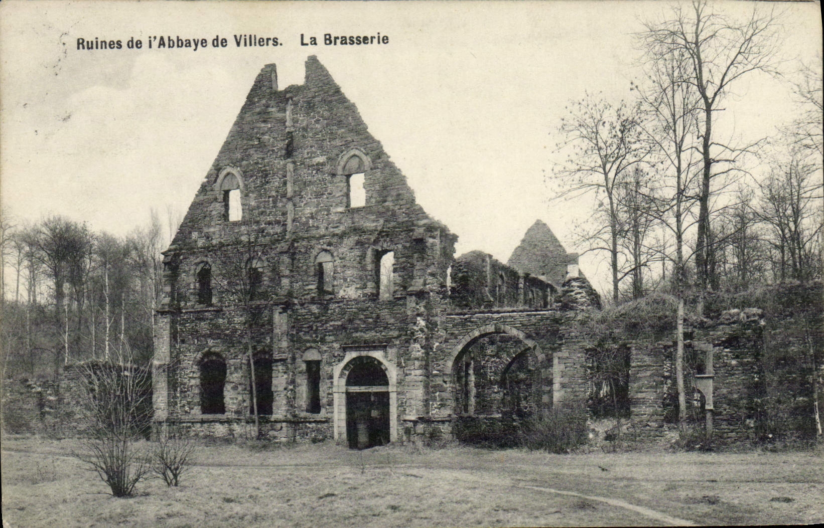 CPA Brasserie Ruines de l'abbaye de Villers