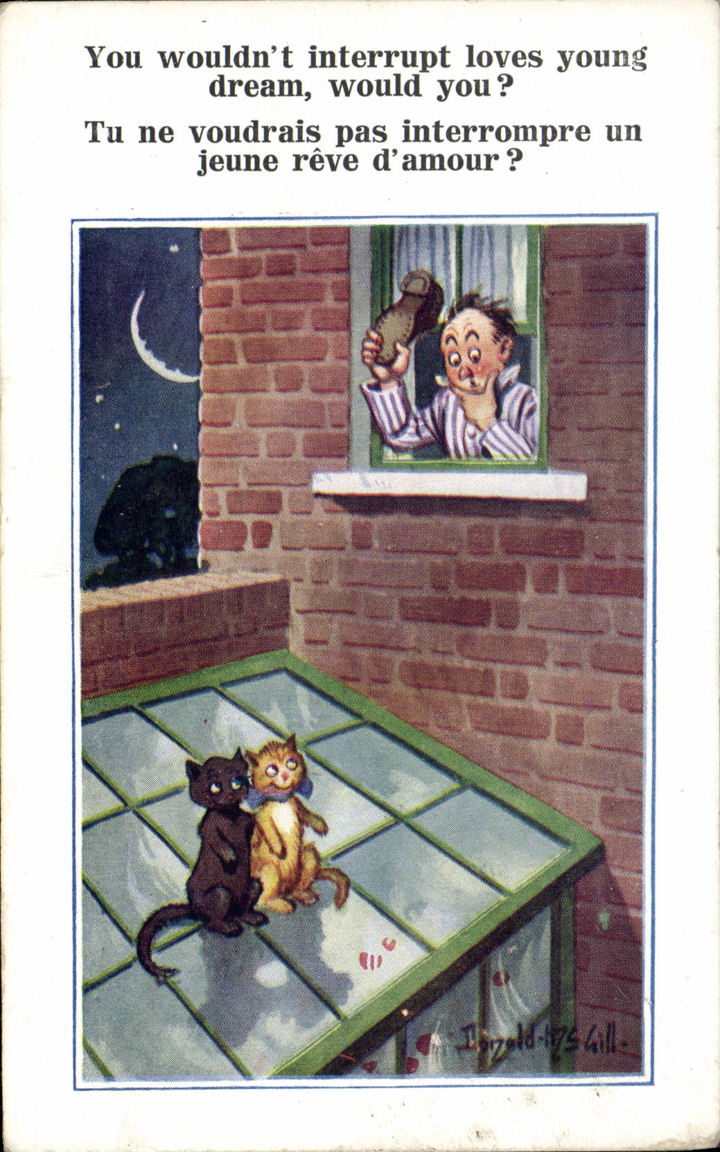 CPA Illustrateur Homme Chat Chaton Donald Mc Gill