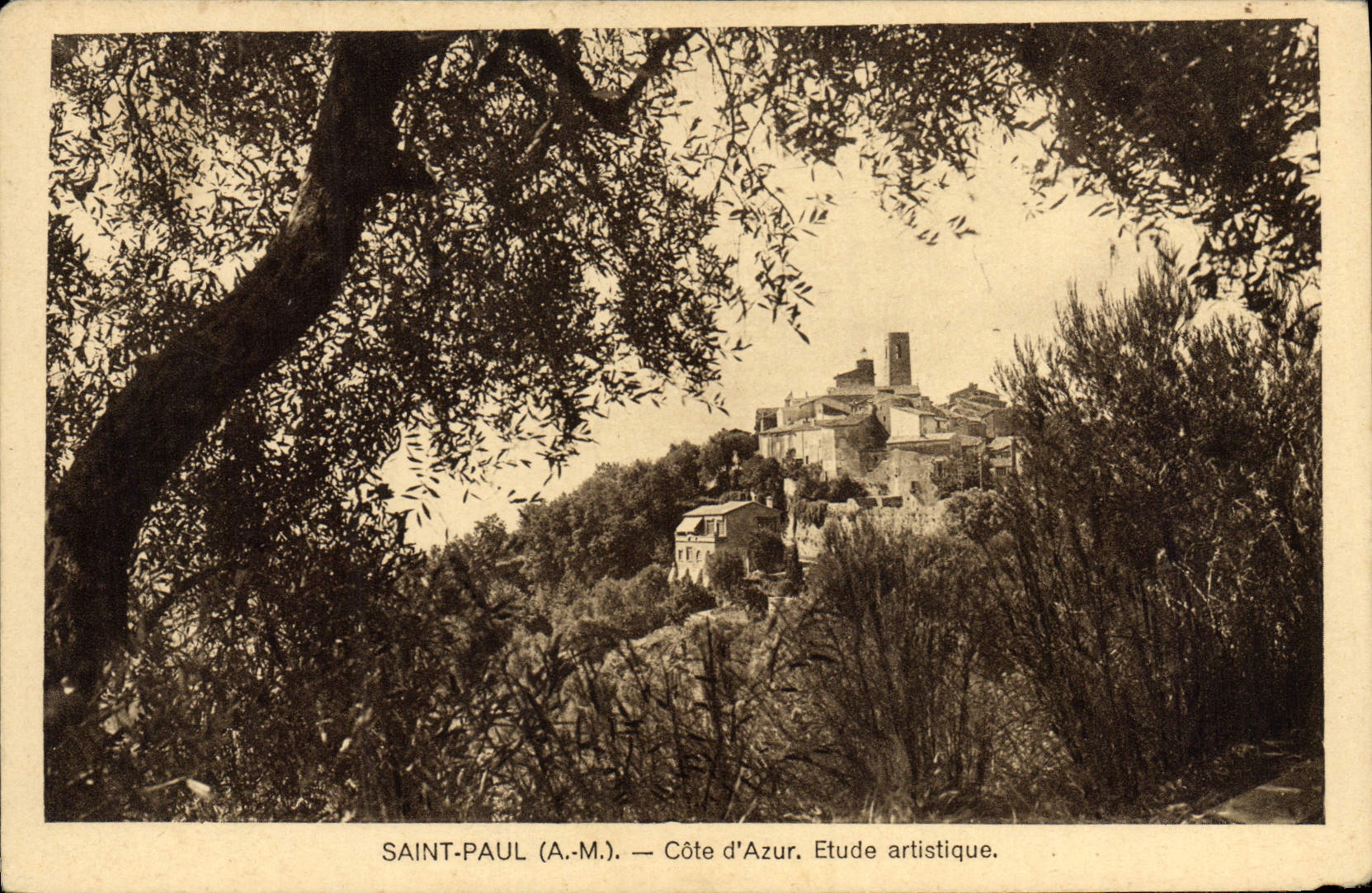 CPA St Paul Cote d'Azur 