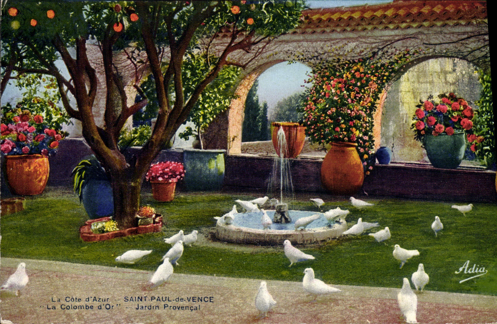 CPA Saint Paul De Vence La Colombe d'Or Jardin provencal