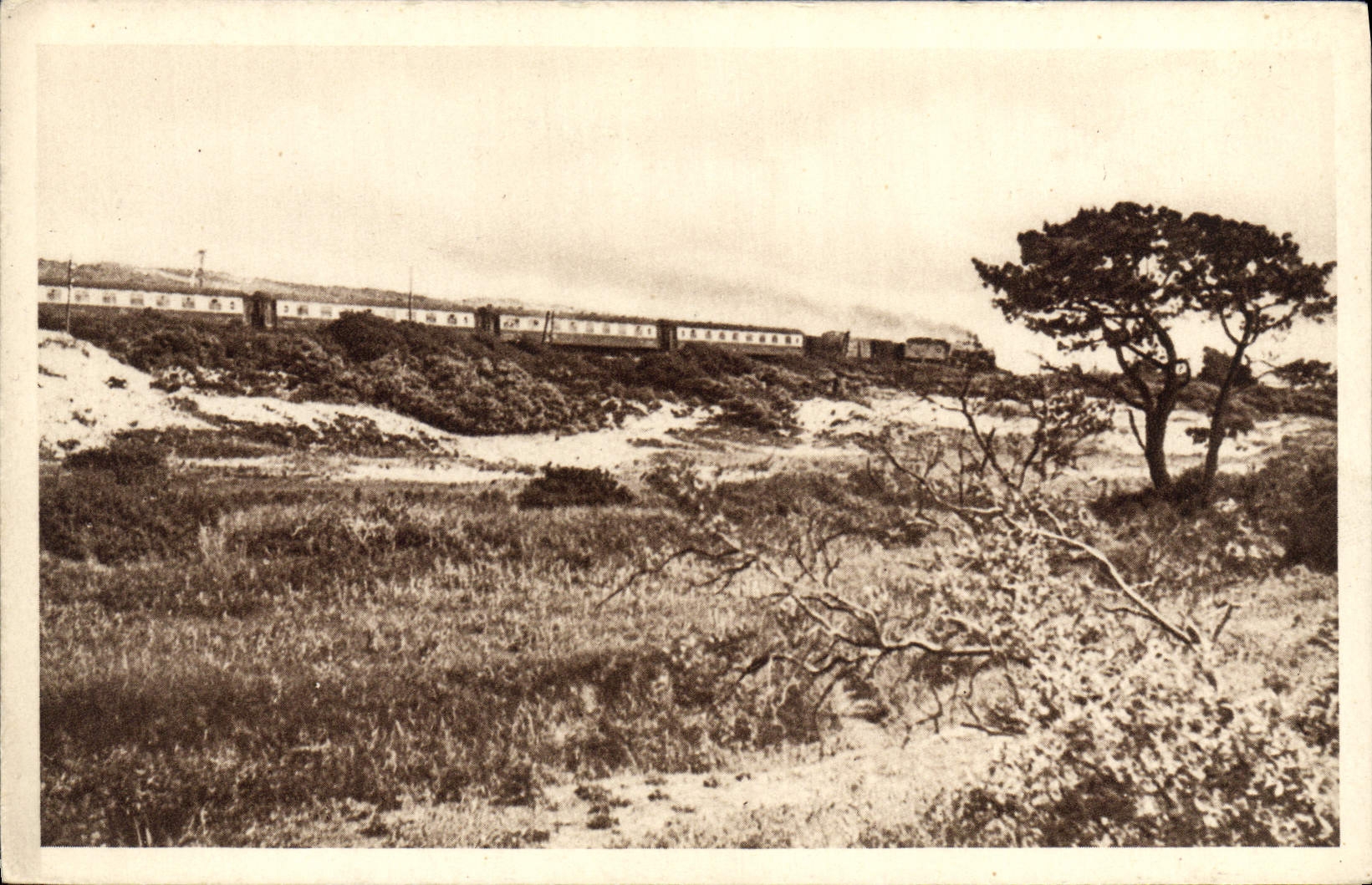 VINTAGE POSTCARD Train Engine Railroad of North the Gold Arrow maritime Paris Calais without stop