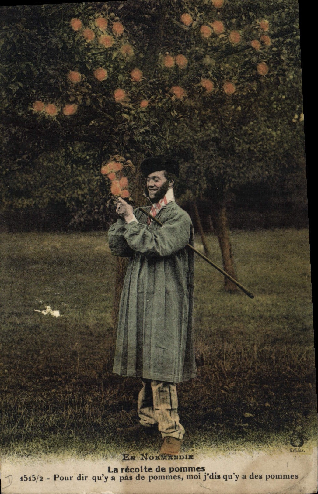 VINTAGE POSTCARD Alcool Normandy Collects apples