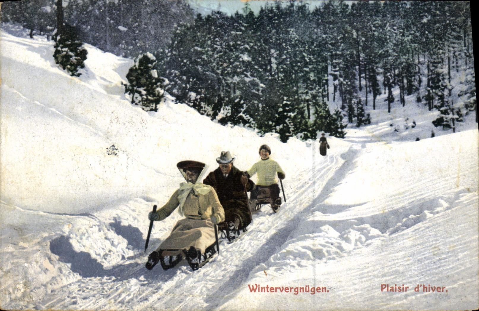 CPA Sports d'hiver Ski Luges