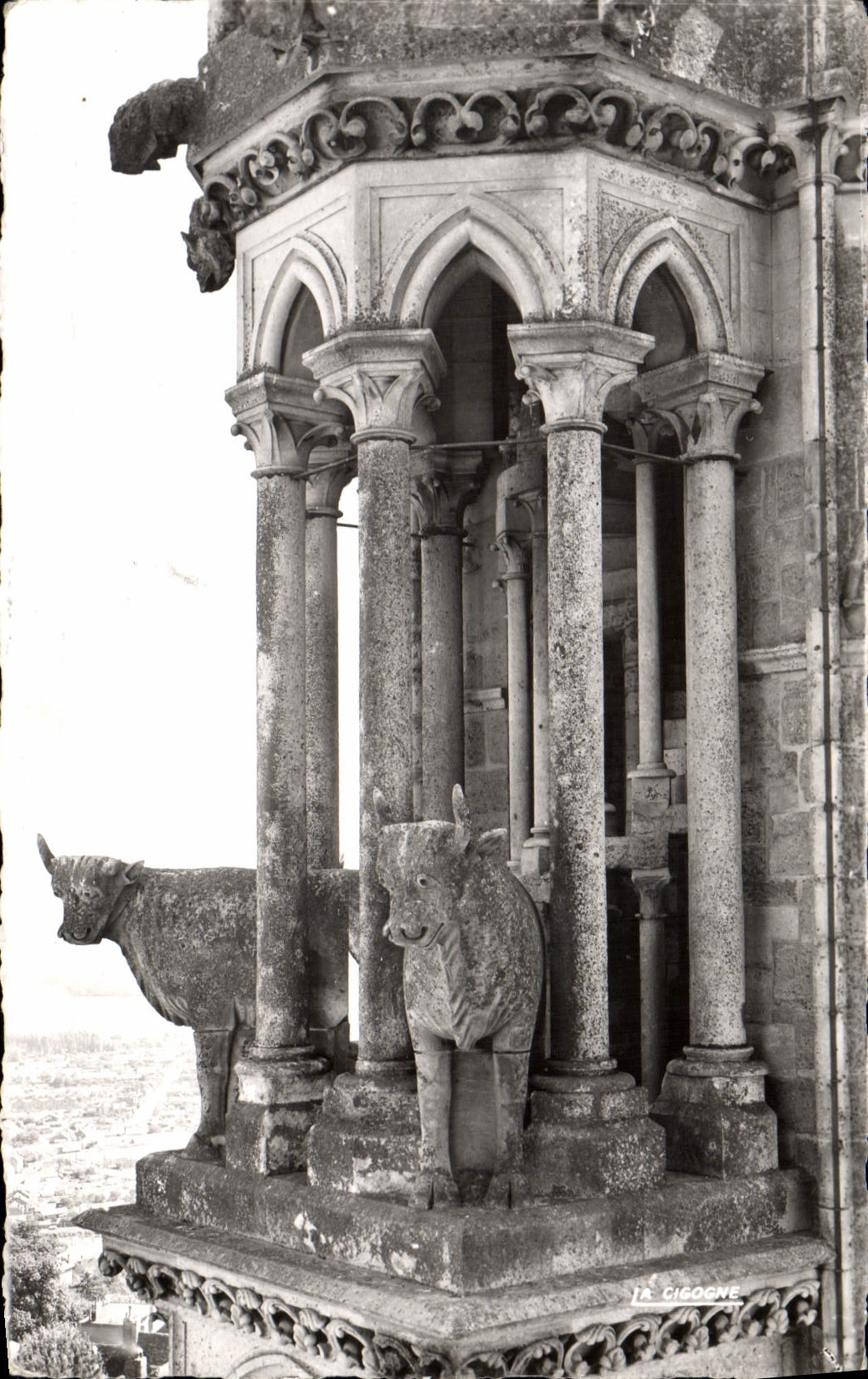 MODERN CARD Laon Oxen of the Cathedral