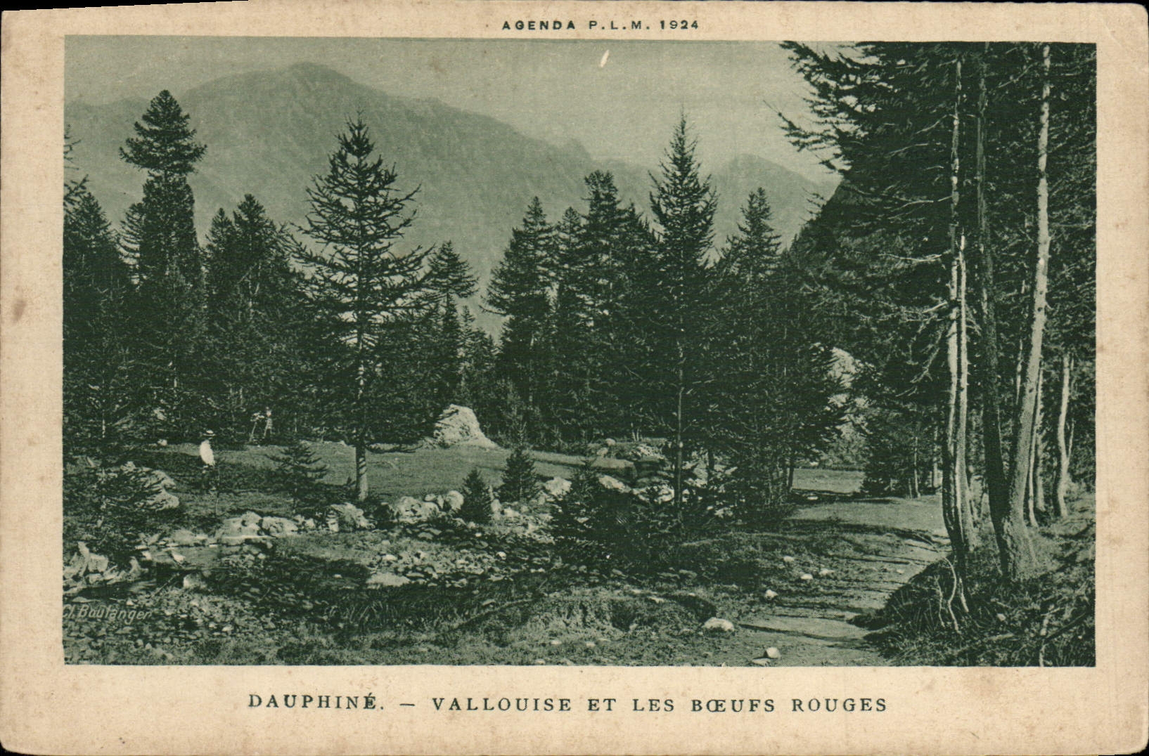 CPA Le Dauphine Vallouise Et Les Boeufs Rouges